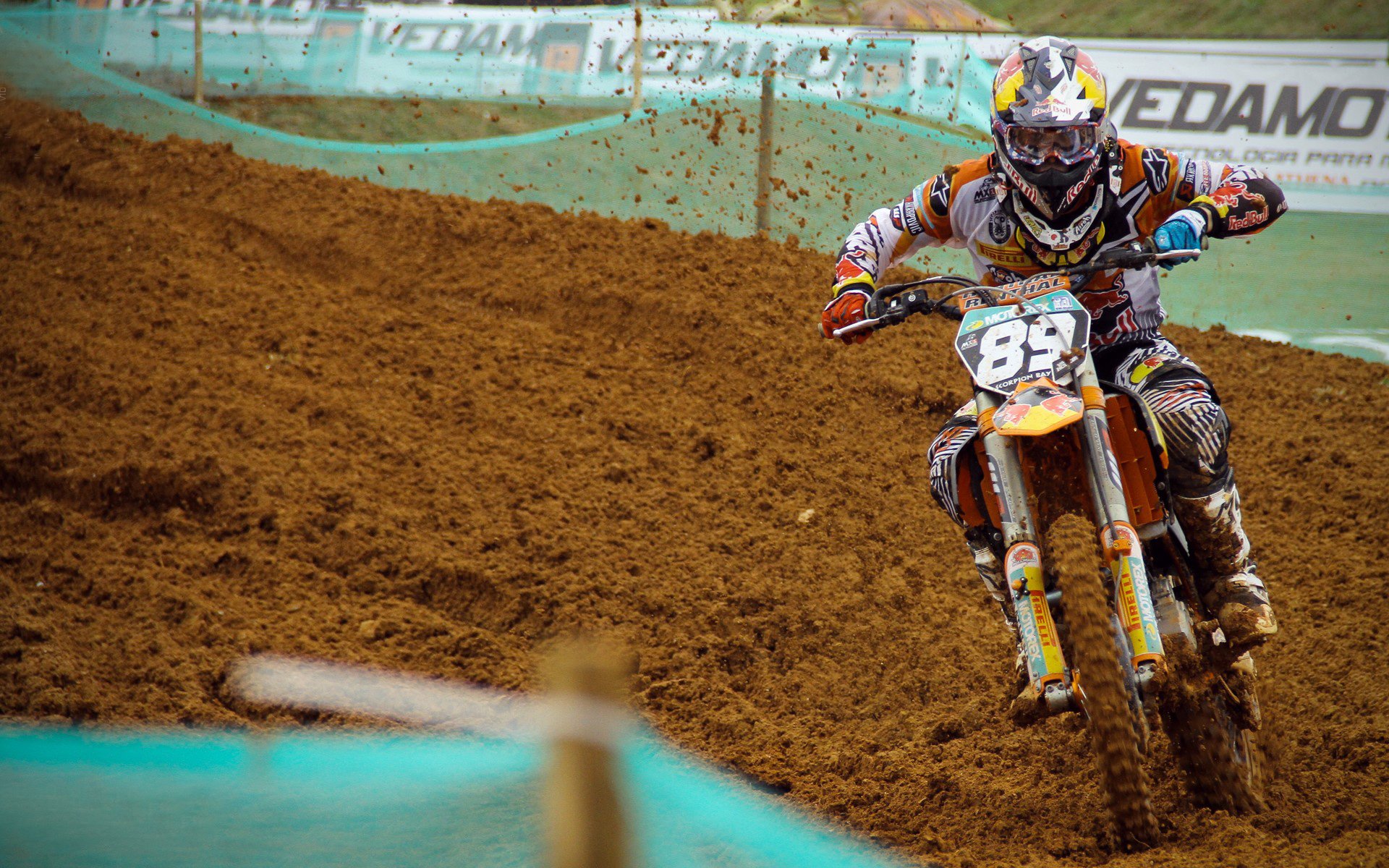 14位世界冠军棋聚宝安！2024第四届“湾区杯”中国围棋大棋士赛预选赛正式开赛